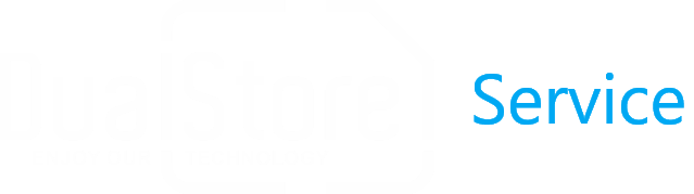 DualStore Service